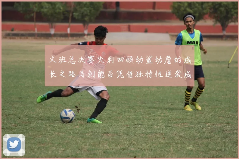 文班总决赛失利回顾幼鲨幼詹的成长之路马刺能否凭借独特性逆袭成功